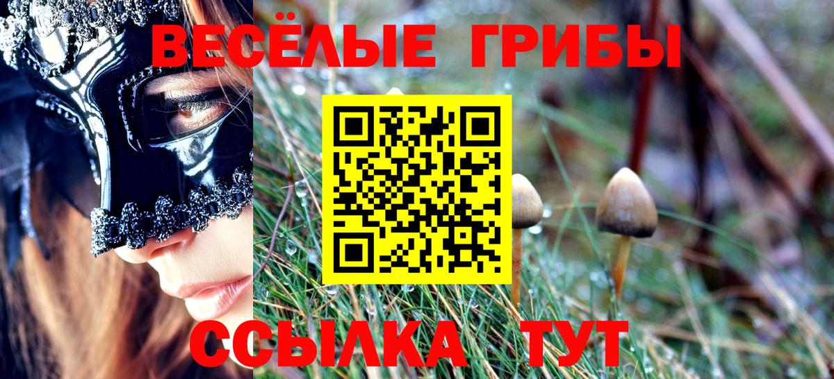 Гусиноозёрск  Псилоцибиновые грибы мухоморы  Вход с VPN 